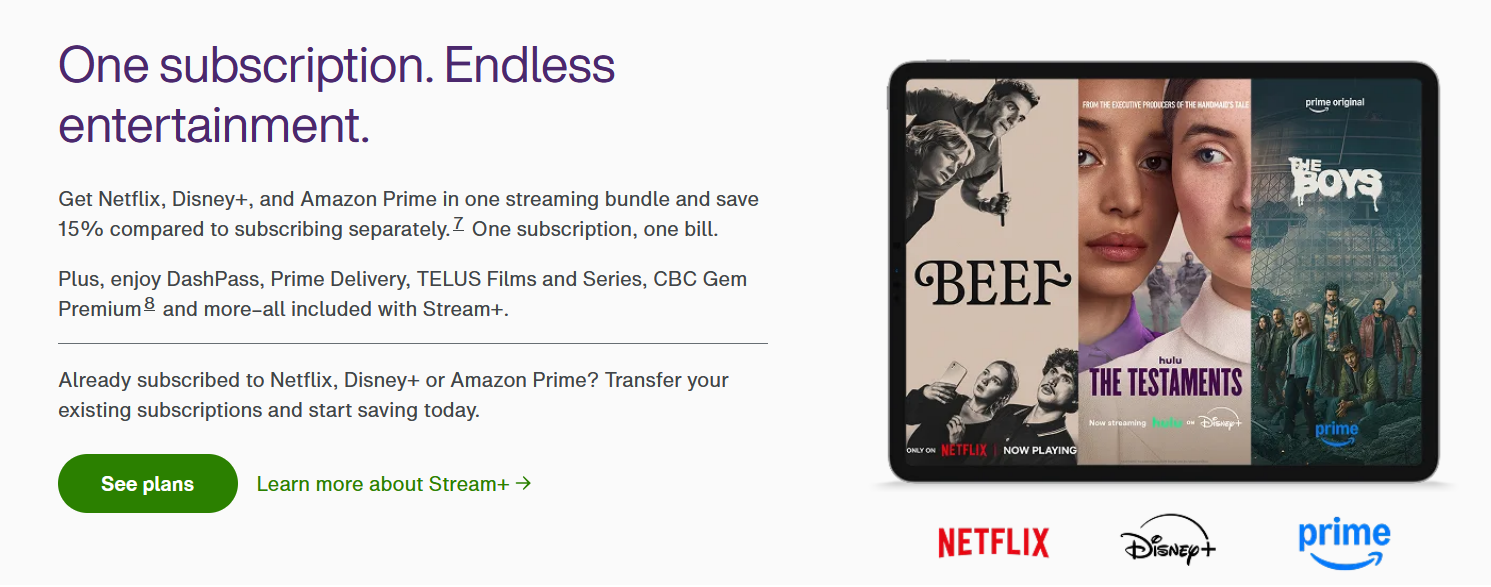 This is the landing page for a telecom's streaming bundle product. It reads 'One subscription. Endless entertainment'